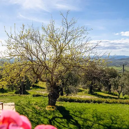 Podere Montale Il Borgo *