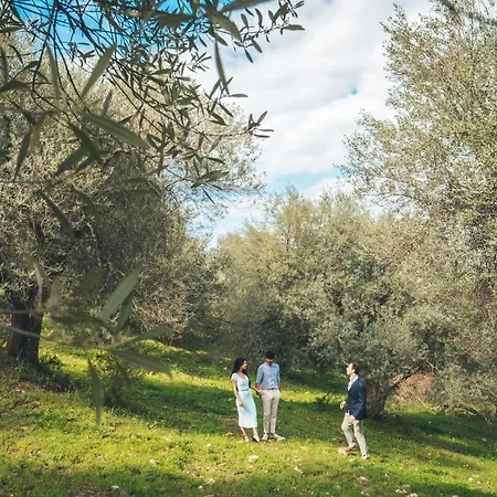 Podere Montale Il Borgo *