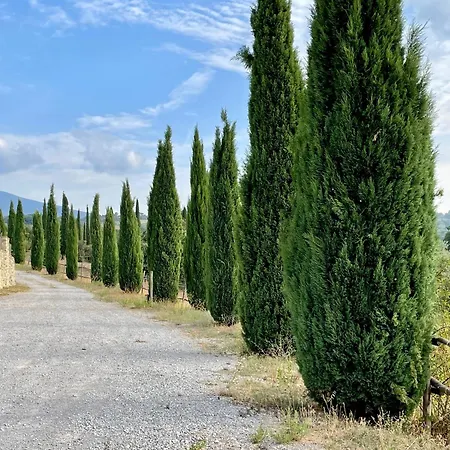 Podere Montale Il Borgo Apartment